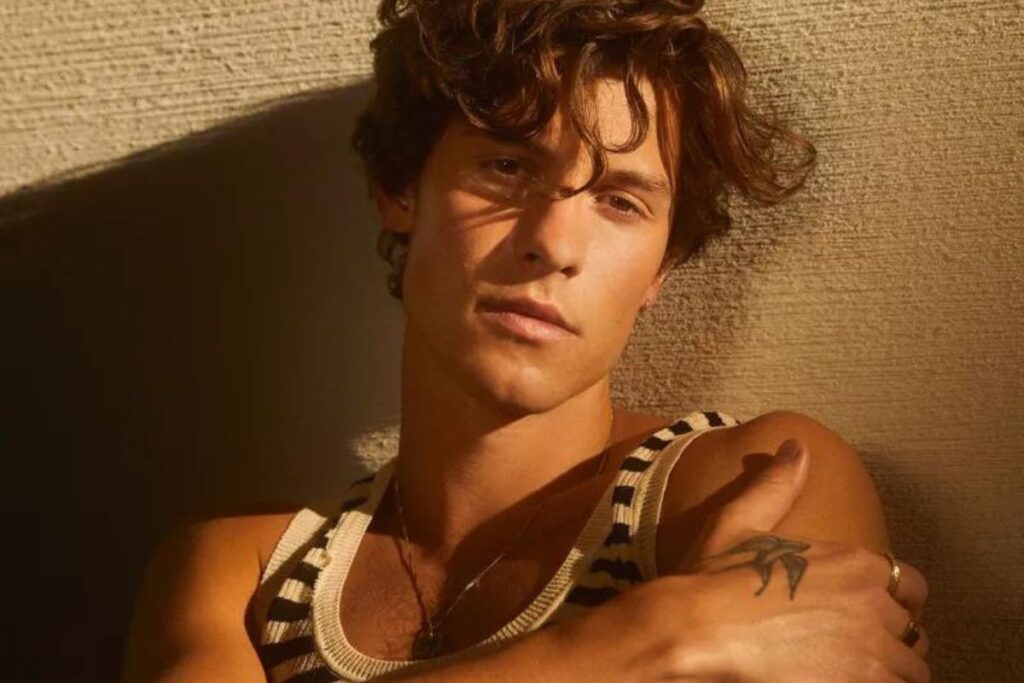 Shawn Mendes was spotted walking shirtless in the streets of the United States