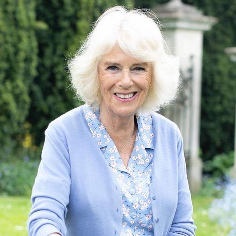 The domestic violence past that still haunts Queen Camilla Parker