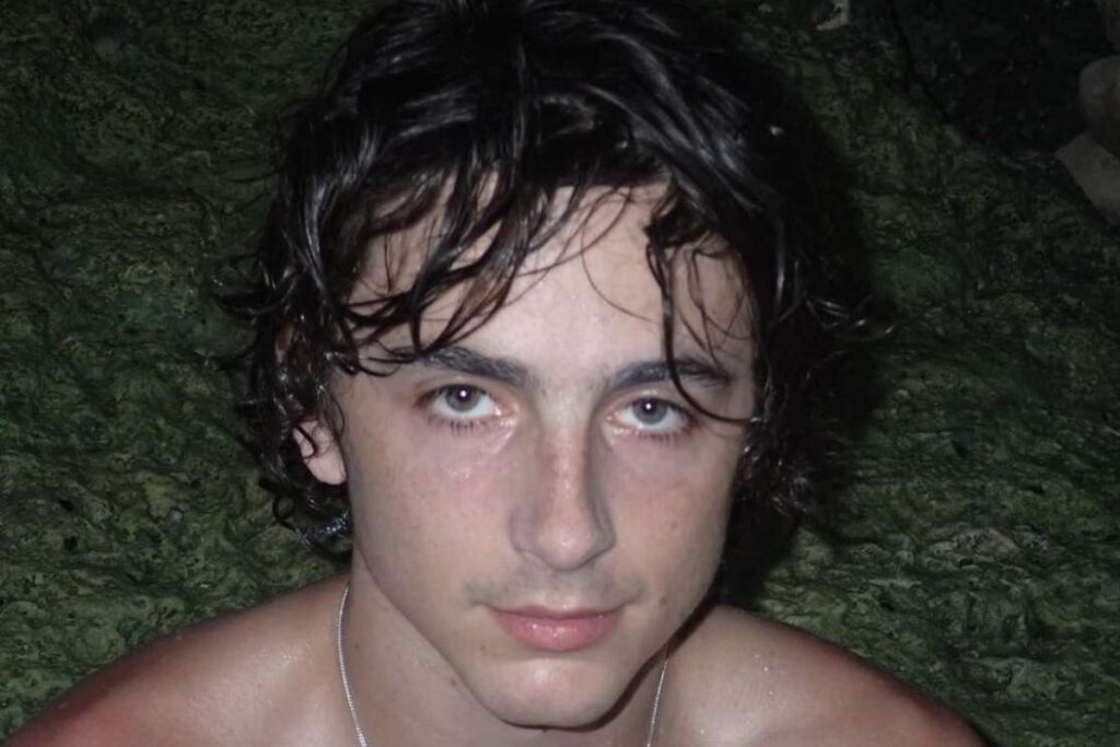 Timothée Chalamet shocks the networks with hot photos after his split with Kylie Jenner
