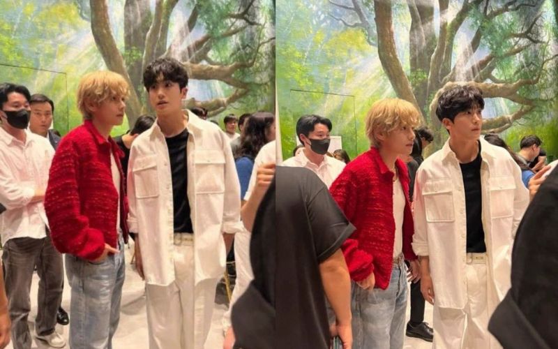 BTS’ V and Park Hyung Sik are rumoredly dating