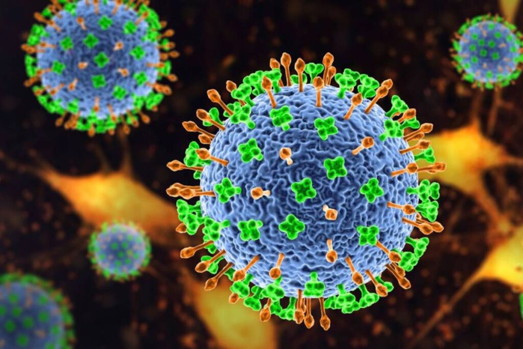New virus NIPAH seriously threatens humanity