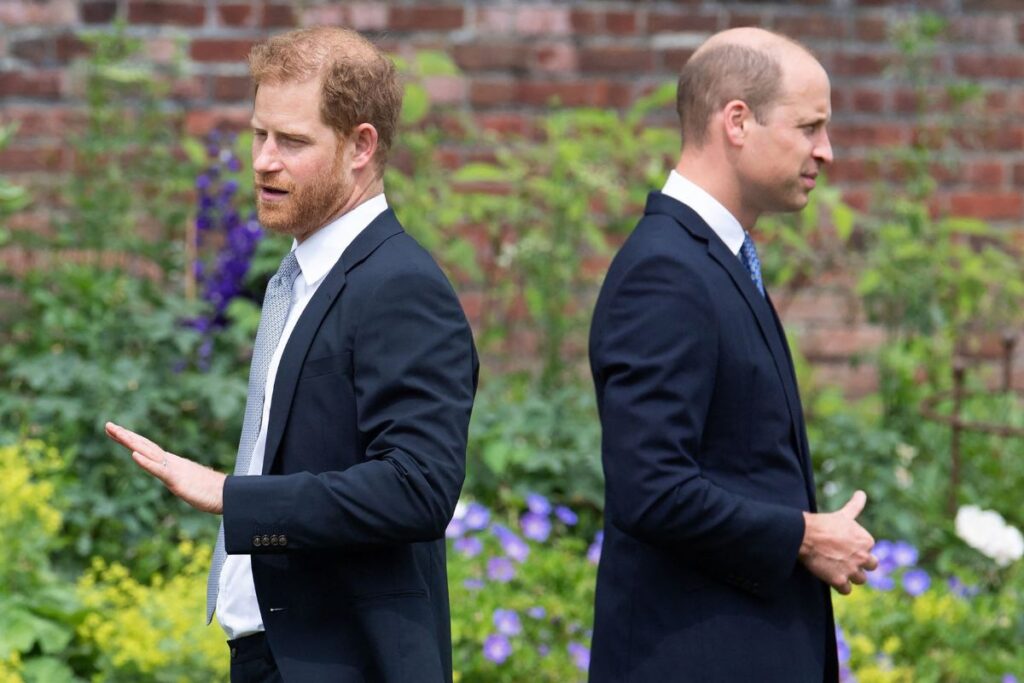 The relationship between Prince Harry and Prince William is "non-existent"