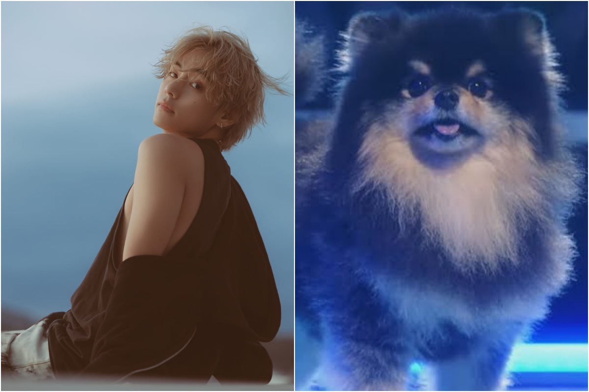 V of BTS gets an impressive record with his own pet! Find out the details here