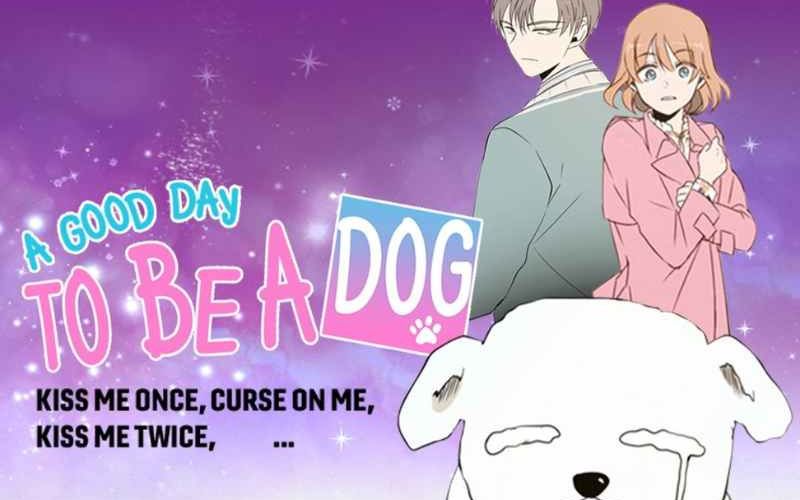 ‘A Good Day To Be A Dog’: Cha Eunwoo’s K-drama that promises to dethrone ‘King The Land’