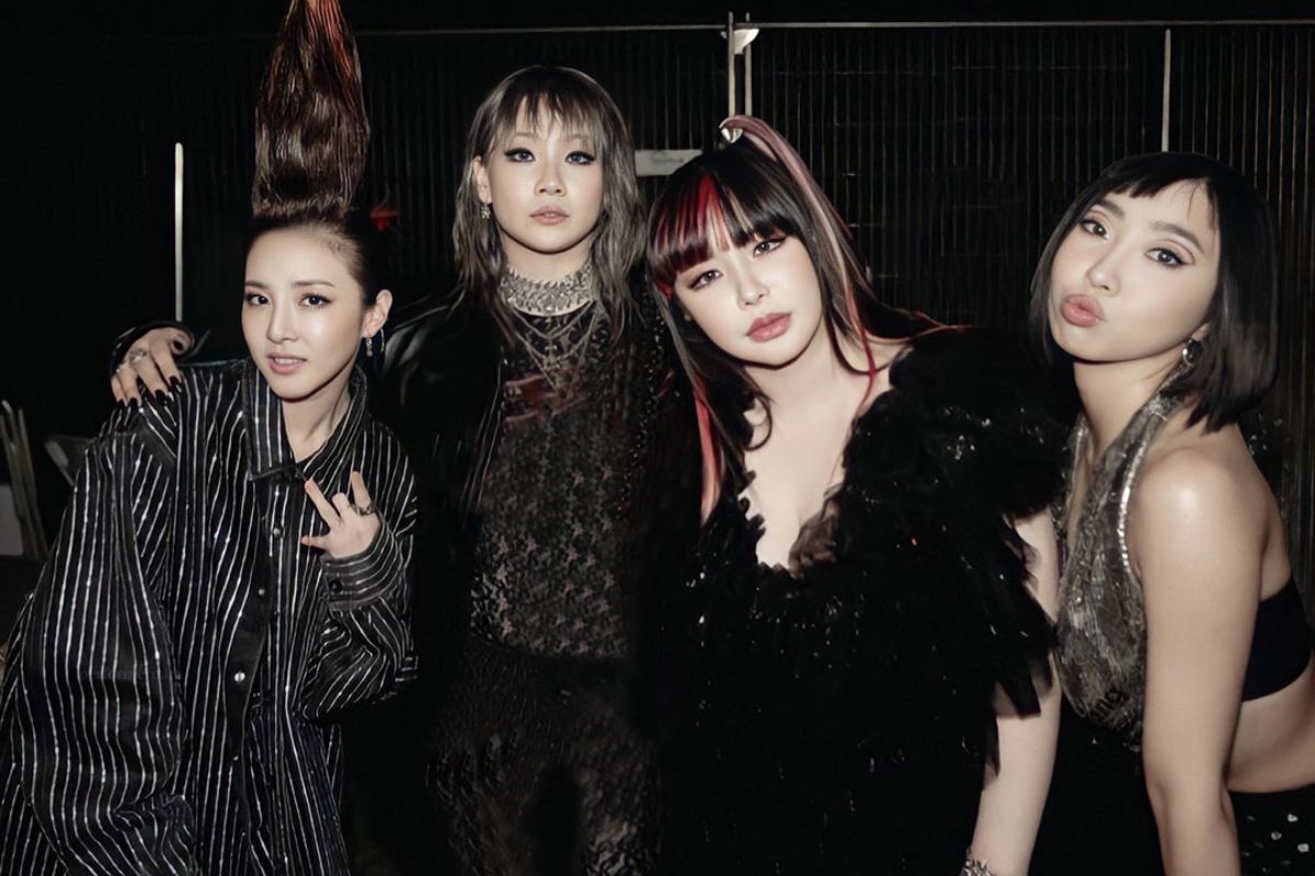 Former 2NE1 member spills the tea about kpop rivalries in the 2010s