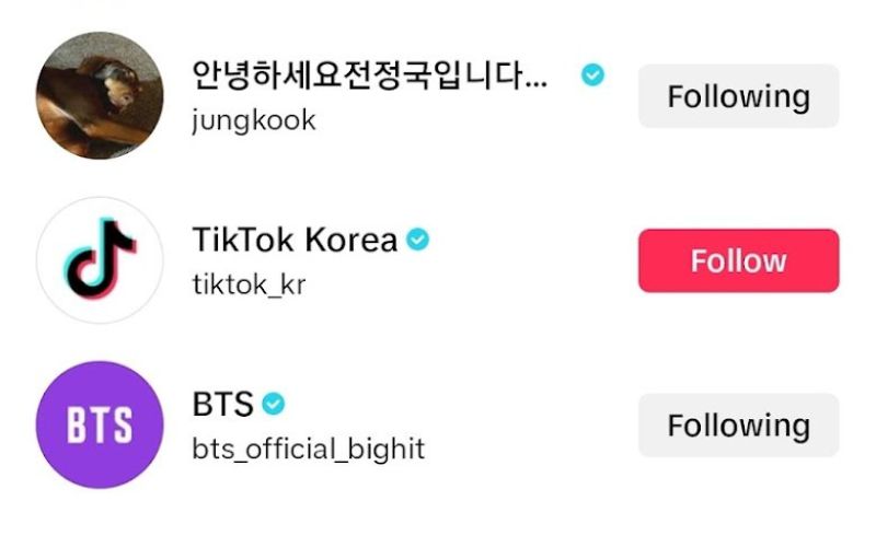 Did BTS' Jungkook accidentally REVEAL V's TikTok account to the world?