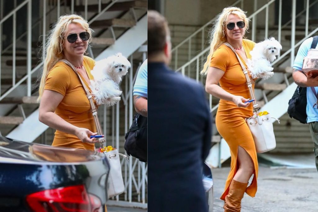 Britney Spears seen for the first time since the publication of her book