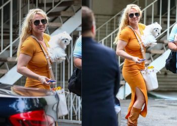Britney Spears seen for the first time since the publication of her book