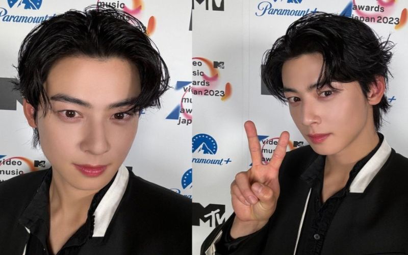 Cha Eunwoo was present at an unfortunate incident at the MTV Video Music Awards Japan 2023