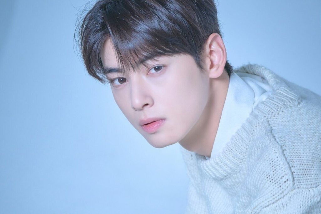 Cha Eunwoo was present at an unfortunate incident at the MTV Video Music Awards Japan 2023