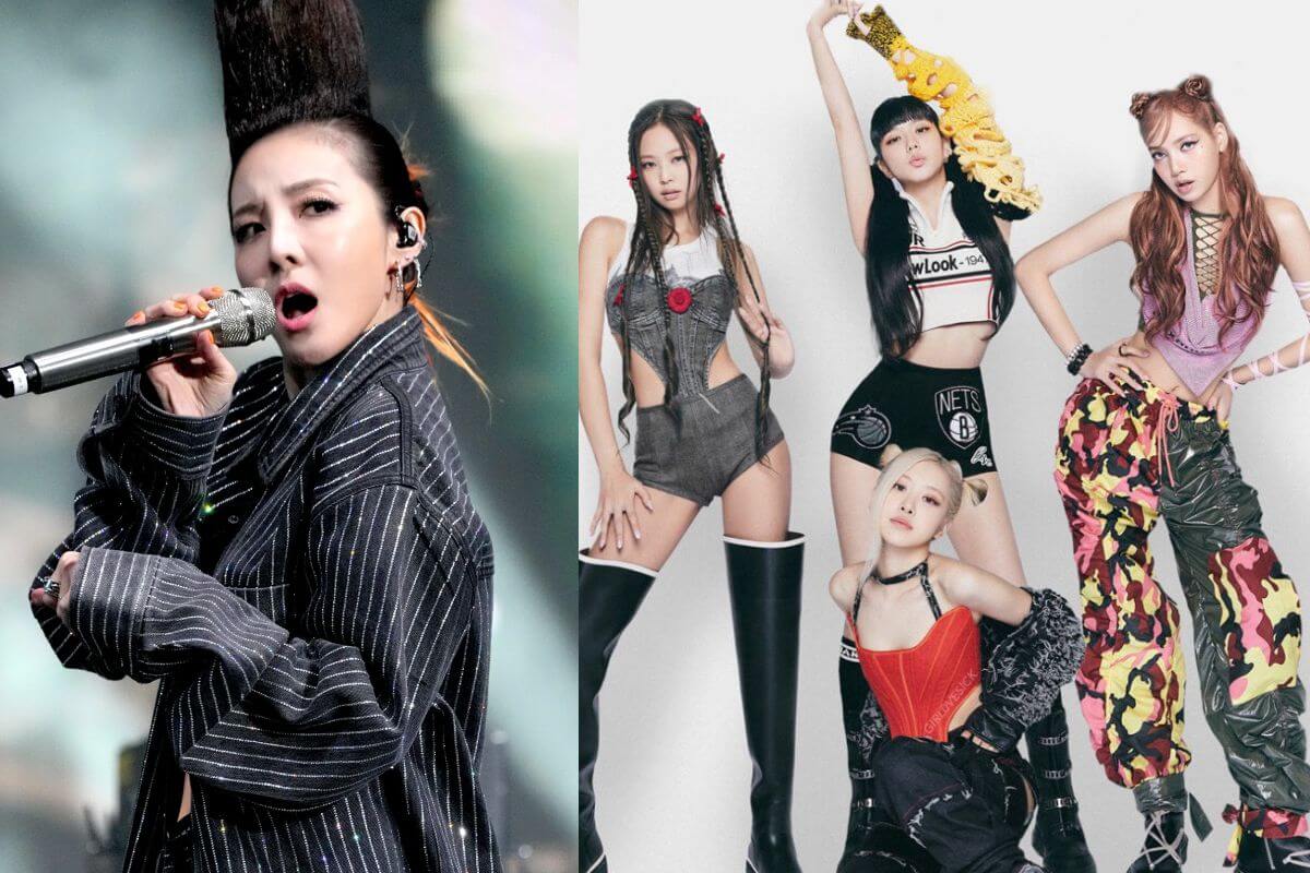 Dara from 2NE1 claims their fans transferred to BLACKPINK