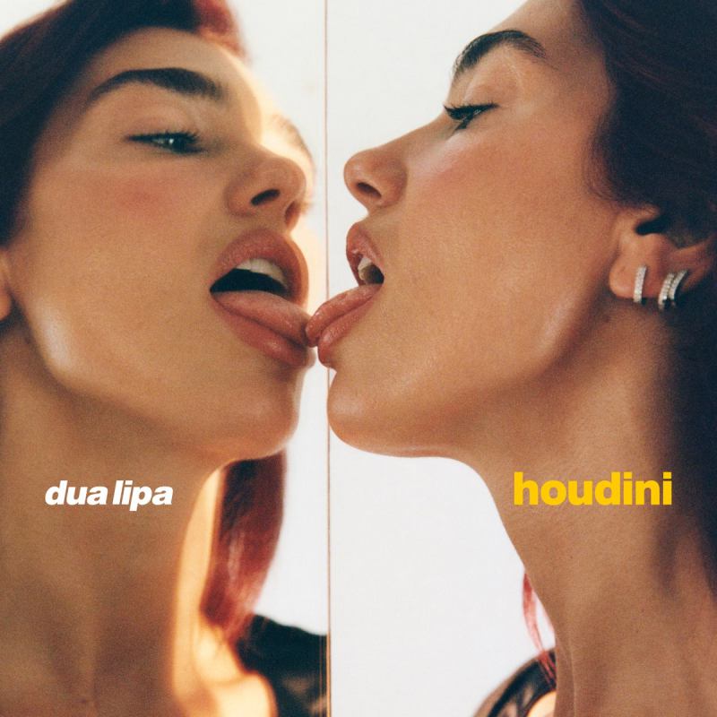 Dua Lipa spills the beans about the creation process of Houdini