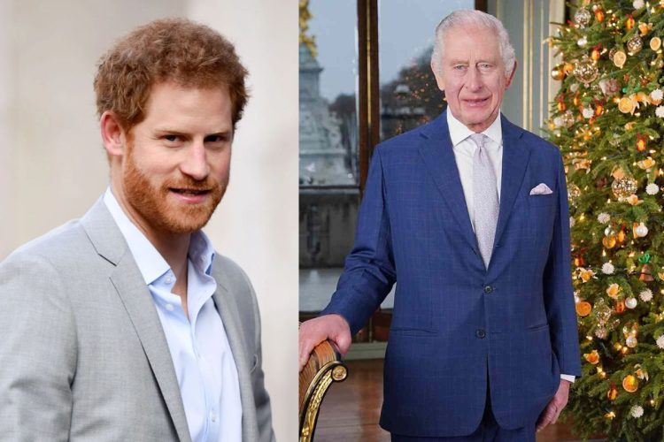 King Charles III completely ignores Prince Harry in 2023 Christmas speech