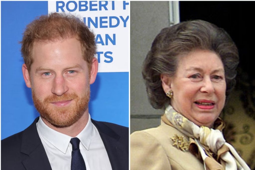 The strange gift a royal gave Prince Harry that left him confused