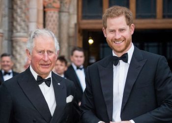 Prince Harry Reportedly Rethinking the Royal Feud after Kate Middleton and King Charles's Hospital Stays