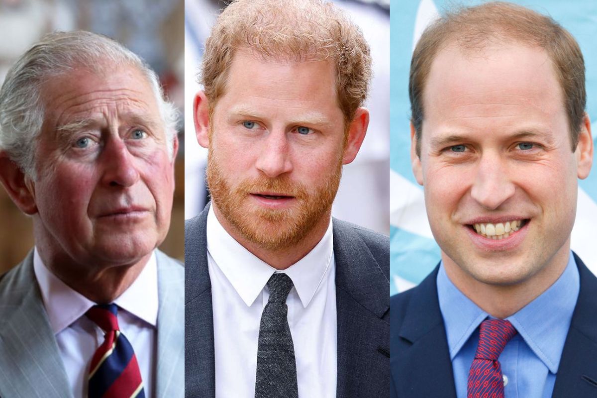 Prince Harry cannot succeed King Charles III nor Prince William in case ...