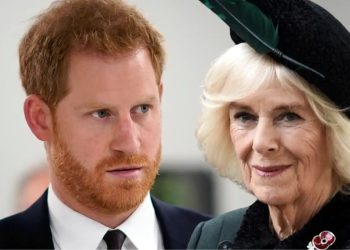 Prince Harry's accusations against Queen Camilla to be revealed in documentary