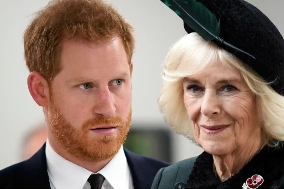 Prince Harry's accusations against Queen Camilla to be revealed in documentary