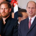 This is the secret phrase that Prince Harry and Prince William use in extreme crisis
