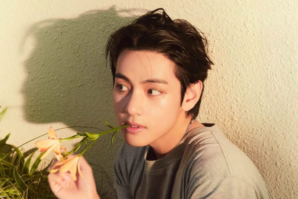 BTS' V is praised by a prestigious Harvard professor in the United States