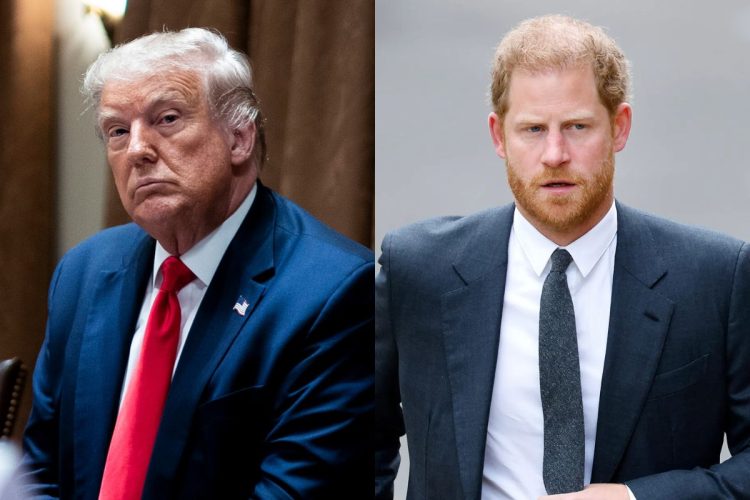 Donald Trump claims that if he win US presidency again, Prince Harry would be 'on his own'