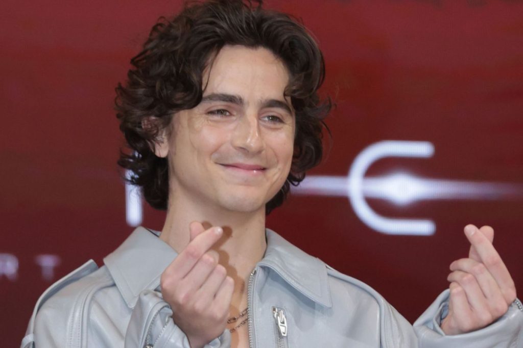 K-Netizens praise Timothée Chalamet because of his genuine respect for Korean culture