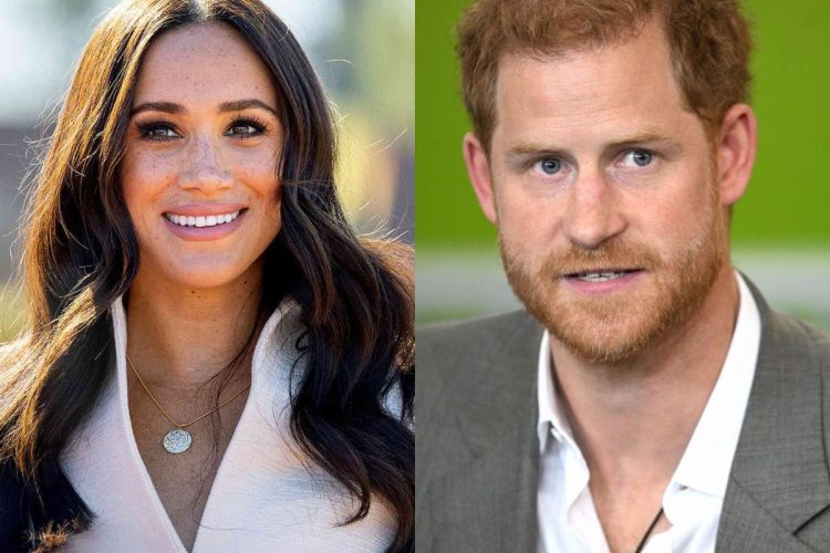 Prince Harry and Meghan Markle are still hated by the British people according to a recent poll
