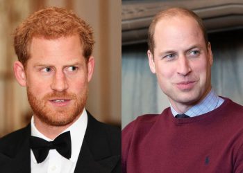 Prince Harry and Prince William's reconciliation 'is a total fantasy'