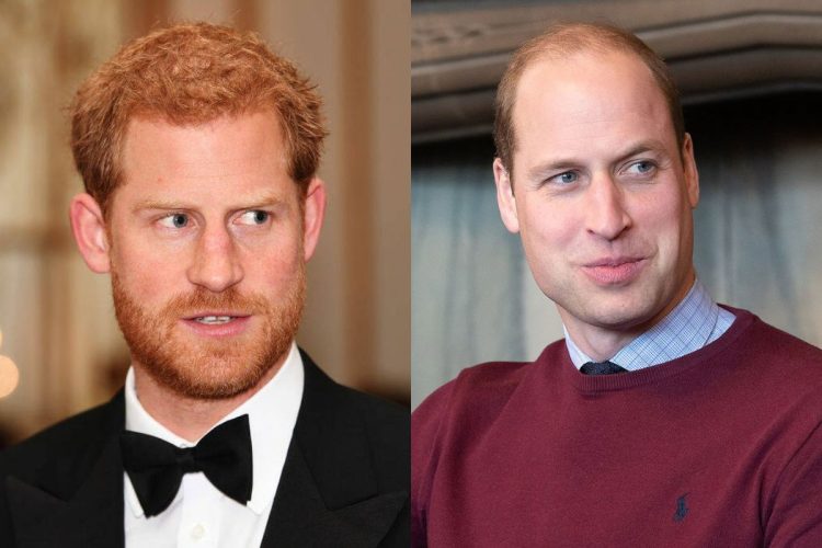 Prince Harry and Prince William's reconciliation 'is a total fantasy'