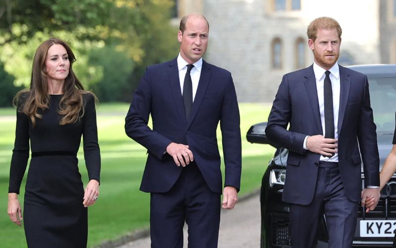 Prince Harry returns to the United States without seeing Prince William and Kate Middleton