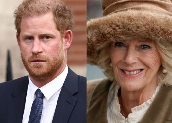 Prince Harry outraged Queen Camilla Parker due to his reckless behavior during his latest visit to the United Kingdom