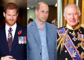 Prince Harry 'unintentionally' attacks Prince William and King Charles III in a new documentary