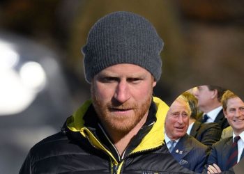 Prince Harry would be willing to do anything to obtain U.S. citizenship