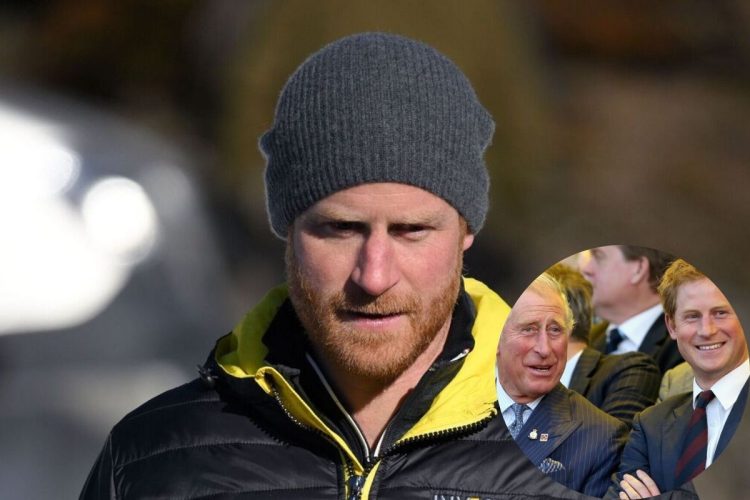 Prince Harry would be willing to do anything to obtain U.S. citizenship