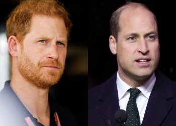 Prince William is allegedly jealous of Prince Harry's Invictus Games Triumph