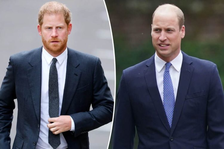Prince William would no let Prince Harry to go back to the royal family