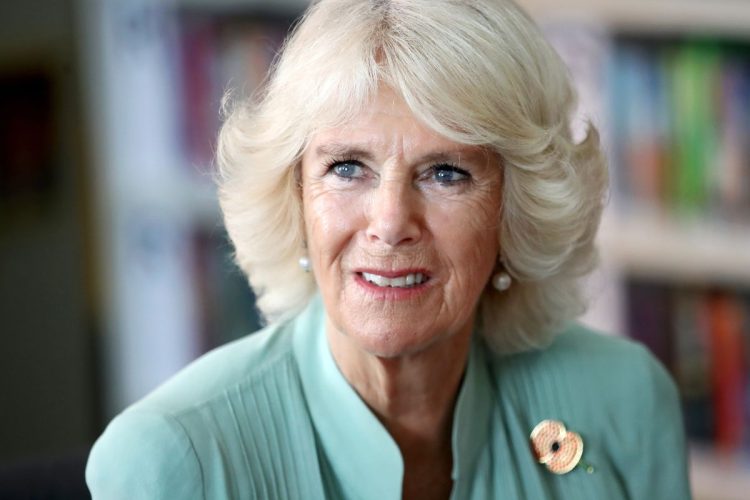 Queen Camilla Parker becomes a key role in the British monarchy while King Charles III is treated for cancer