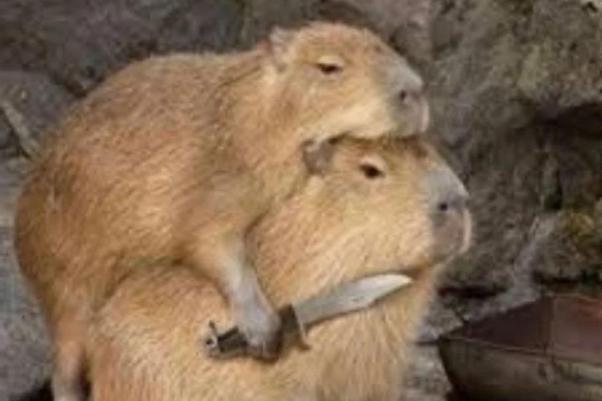 capybara stray kids