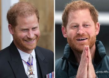 Prince Harry has been the subject of attention due to his future plans