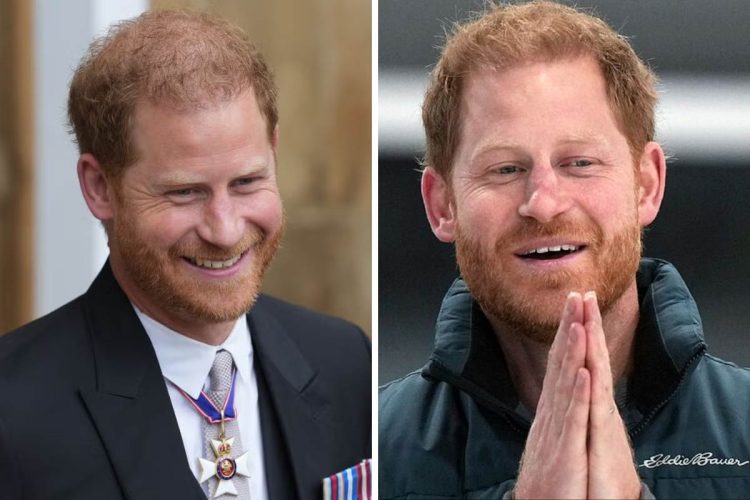 Prince Harry has been the subject of attention due to his future plans