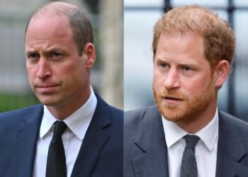 Prince Harry and Prince William might attend the Duke of Westminster’s wedding