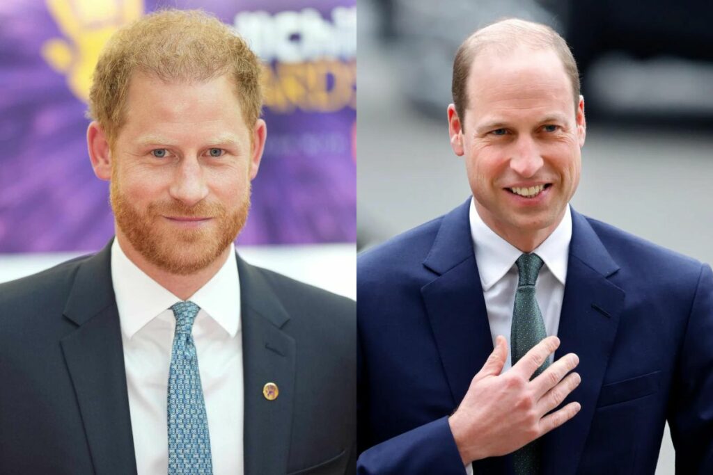 Prince William and Prince Harry appeared separately at Princess Diana's name event