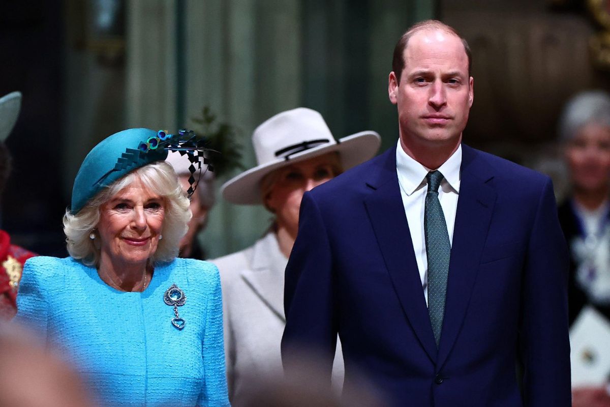 Prince William and Queen Camilla work together and 'send a message' to monarchy critics