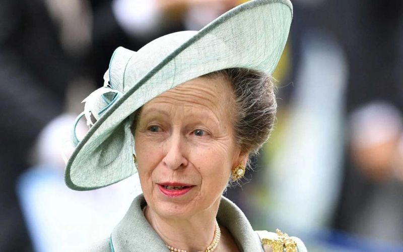 Princess Anne could be the peacemaker for Prince Harry and Meghan Markle with the Royal Family