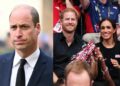 Royal experts say Prince William's response to the Harry and Meghan support message was like 'cautious diplomats'
