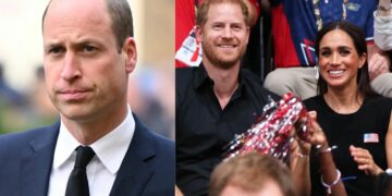 Royal experts say Prince William's response to the Harry and Meghan support message was like 'cautious diplomats'