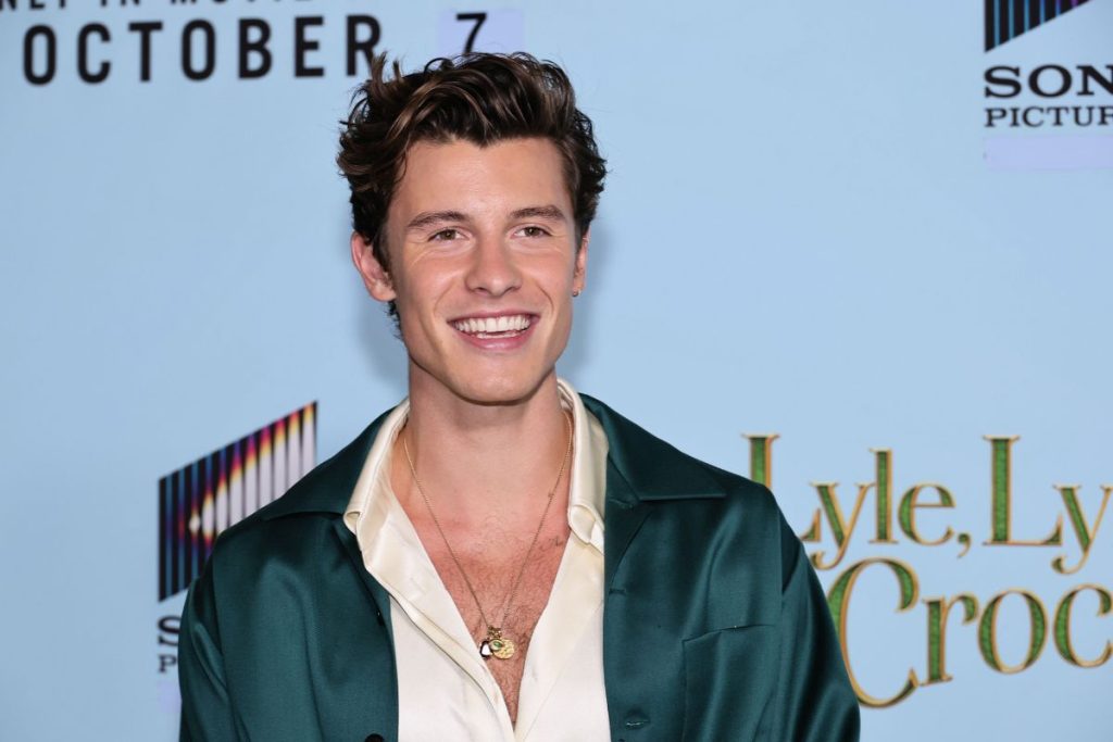 Rumors of Shawn Mendes' homosexuality revive after viral picture