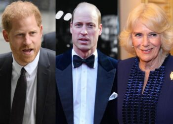A royal expert assures that Prince Harry 'distrusts' in the close bond between Prince William and Queen Camilla