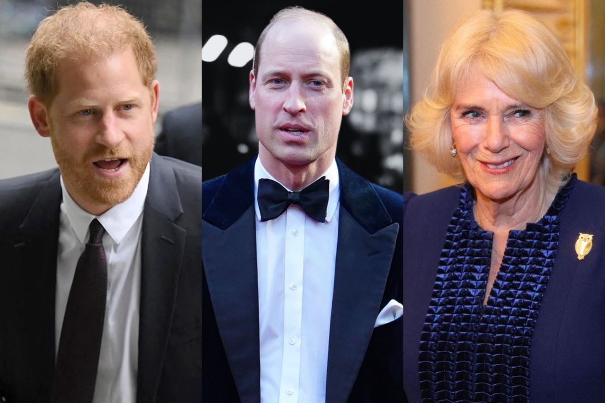 A royal expert assures that Prince Harry 'distrusts' in the close bond between Prince William and Queen Camilla