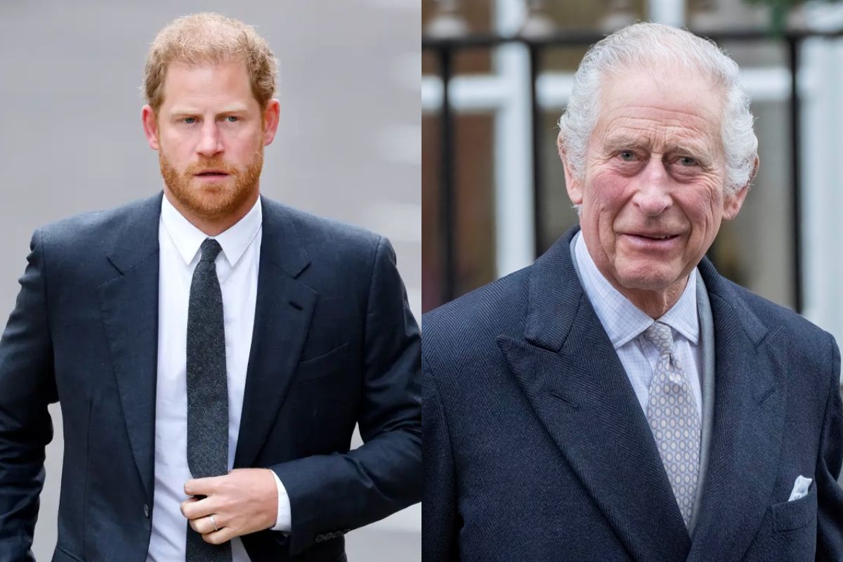Prince Harry faces criticism for claiming that King Charles III was not prepared for single-parenthood